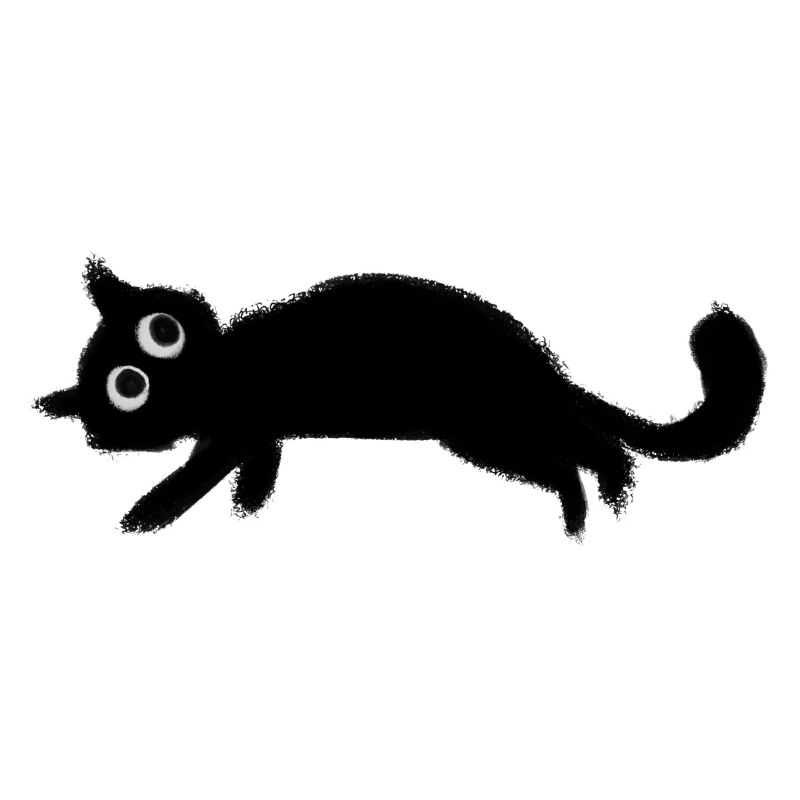 Schwarze Katze Charbo Ruhe
