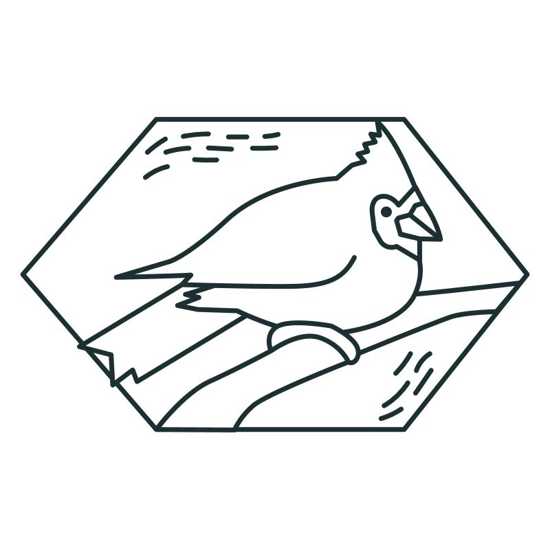 Oiseau cardinal de diamant