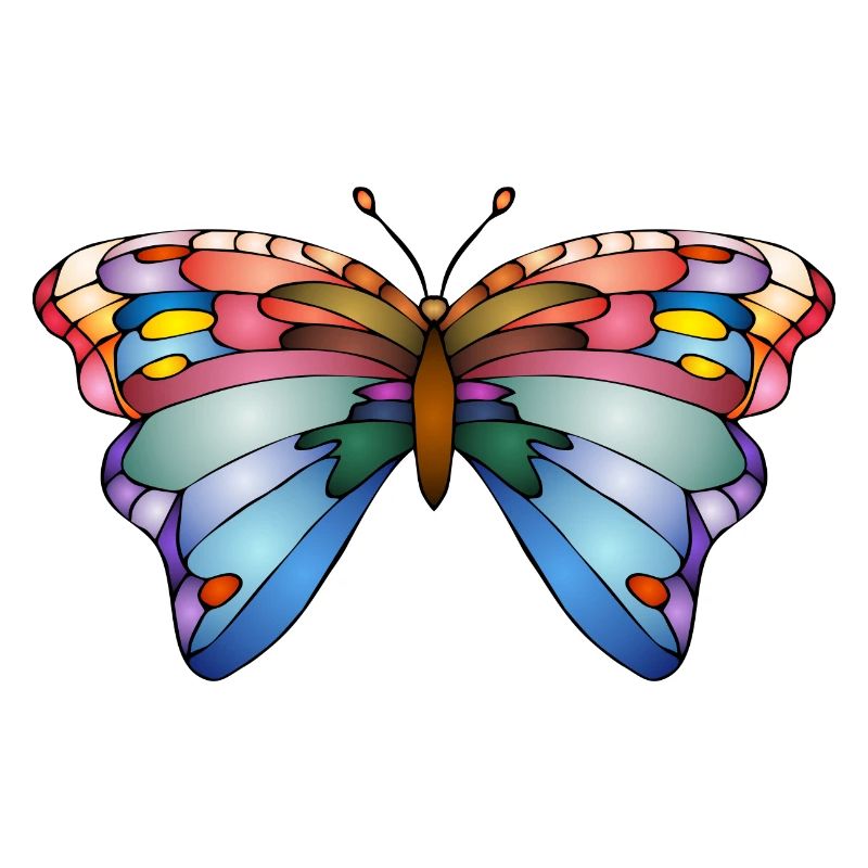 Bunter Schmetterling