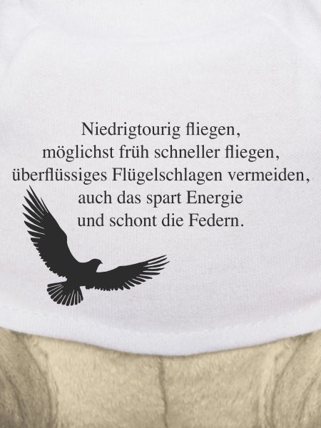 Energie sparen