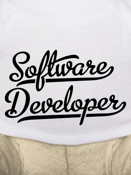 Software Developer