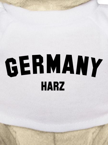 HARZ