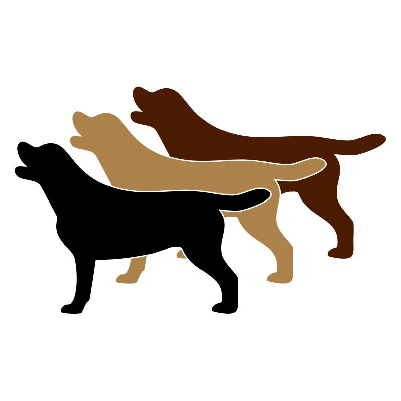 3 Labrador Farben