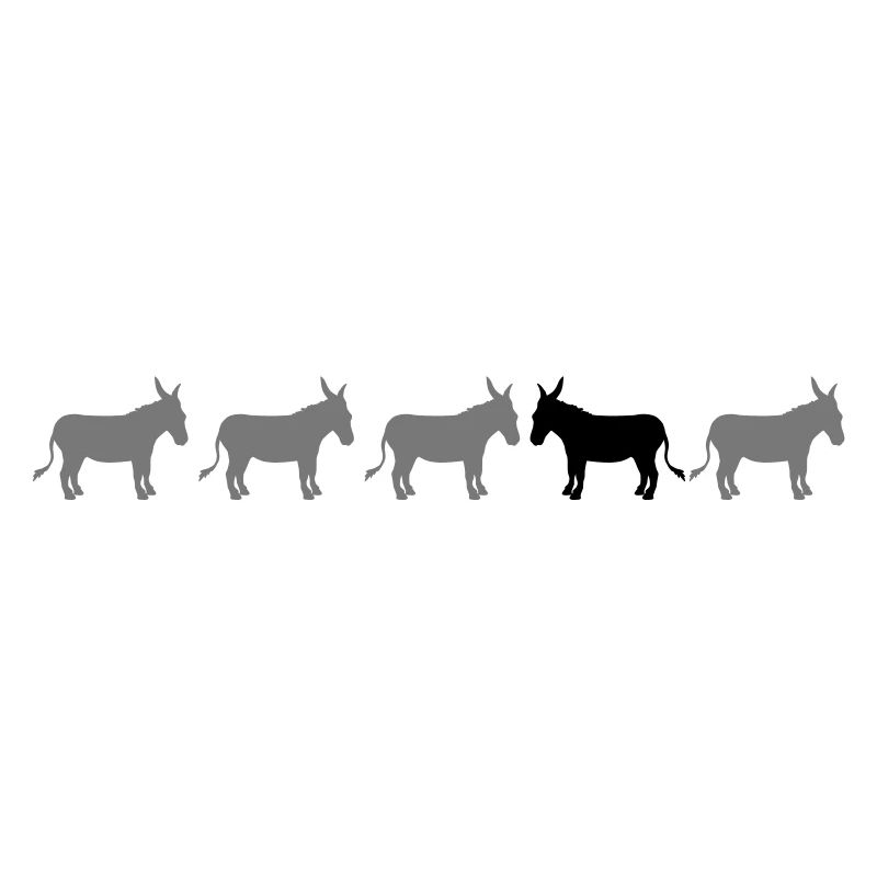 anders be different esel pferd pony klein packesel
