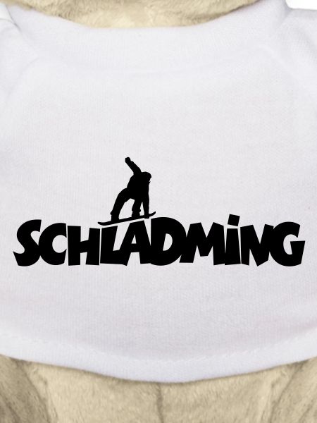 Schladming Snowboard Snowboarder
