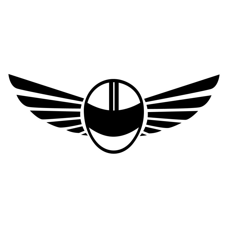 Motorcycle helmet with wings