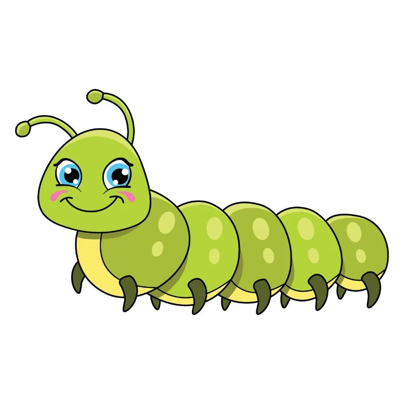 Raupe