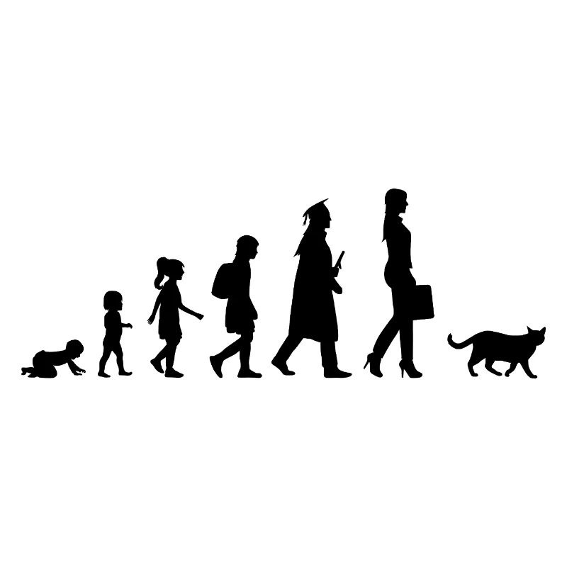 Entwicklung des Katzenbesitzers