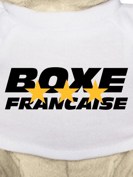 Boxe Francaise