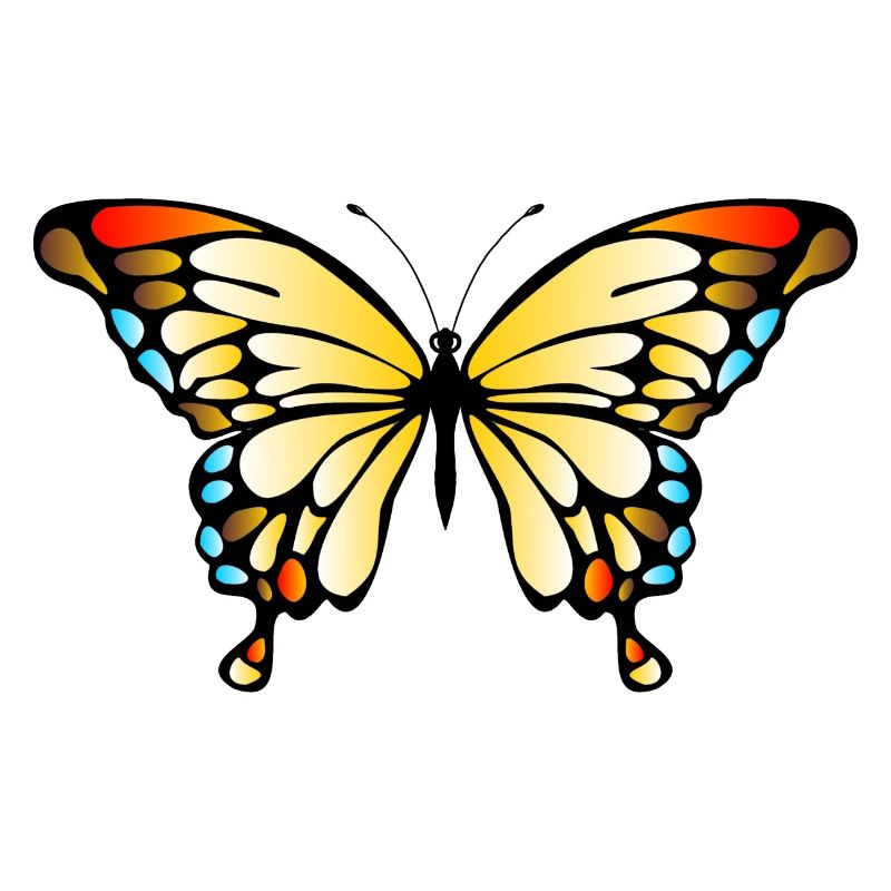 Schmetterling