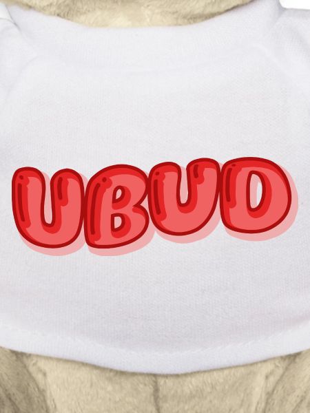 Ubud Bubble Font Design