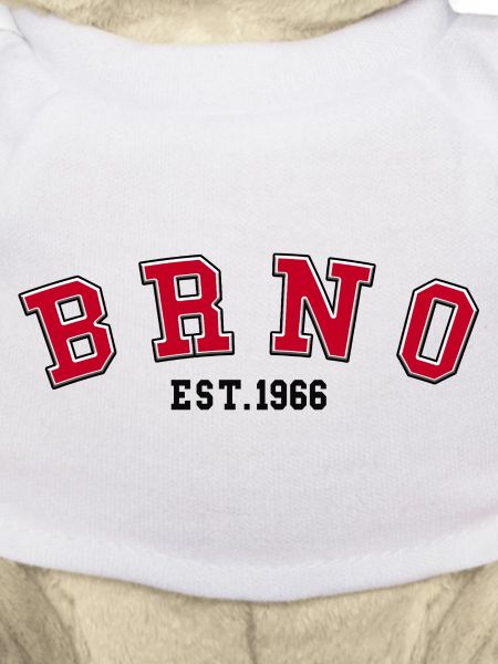 Brünn gegründet 1966
