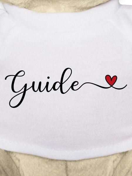 Guide