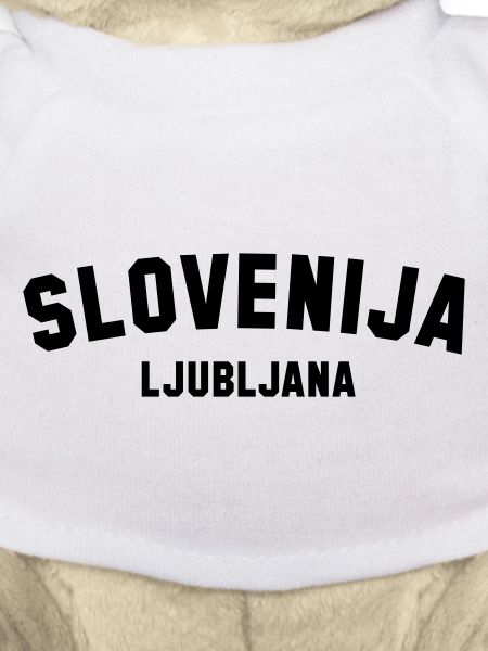 LJUBLJANA Slovenia Slowenien