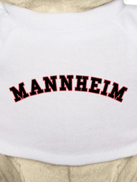 Manheim Arch Schriftzug