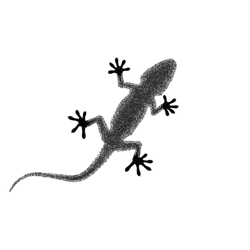 Geckos