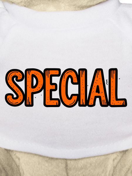 Panneau d’offre spéciale