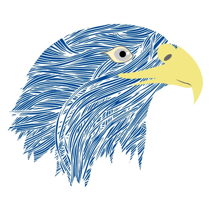 Power animal hawk blue hawk bird eagle gift