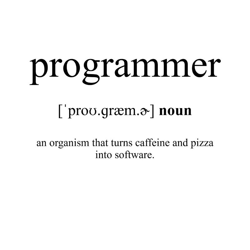 Dictionnaire de définition de programmeur