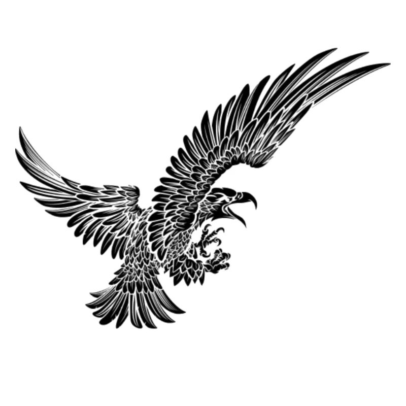 eagle eagle graphic art in flight
