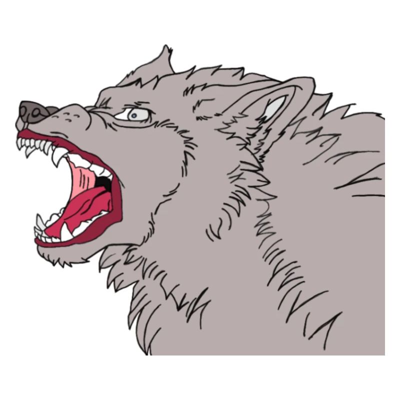 Wild wolf