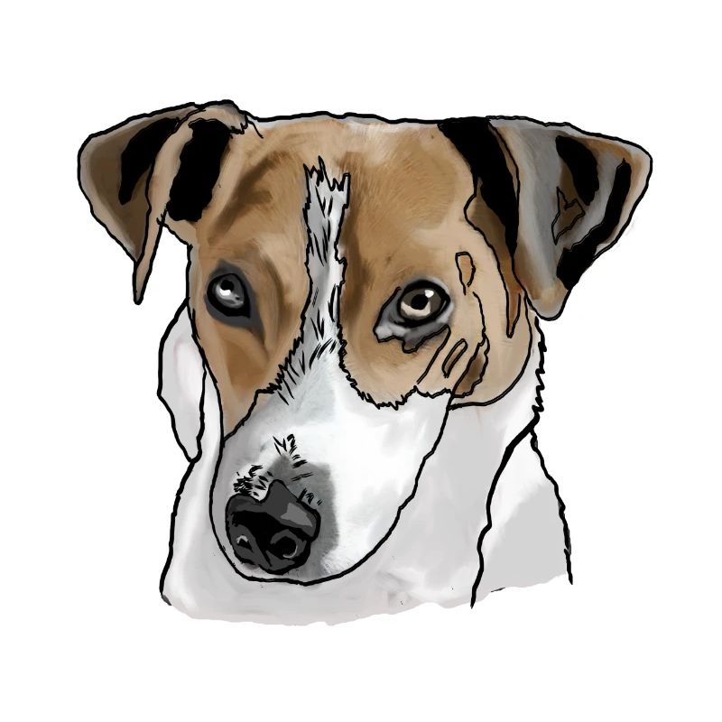 Jack Russel Terrier