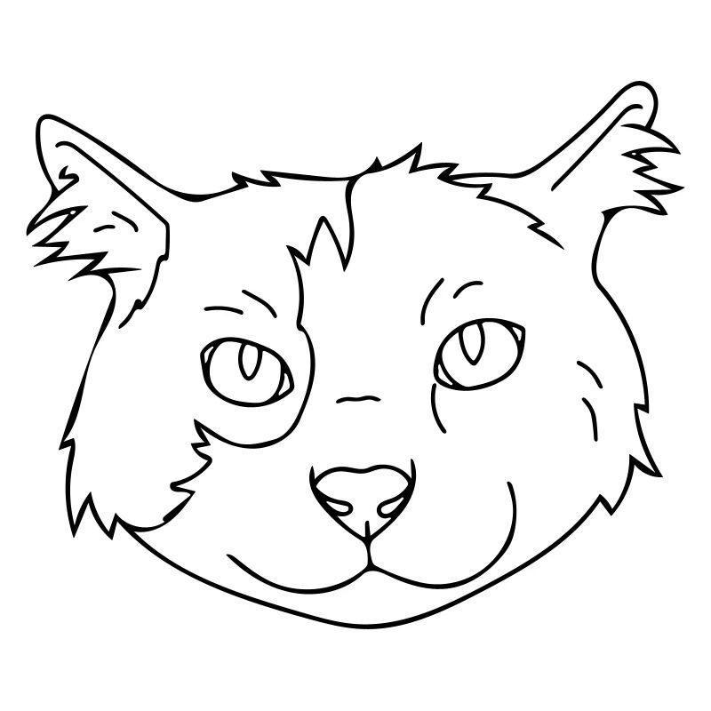 Katze