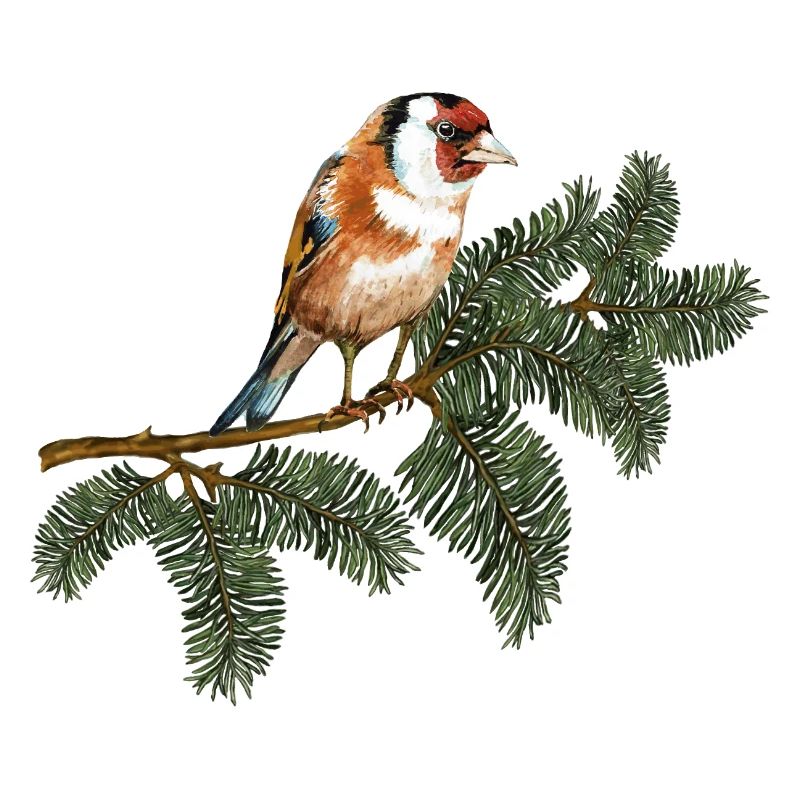Bunter Vogel