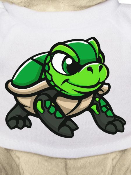Turtle Comic