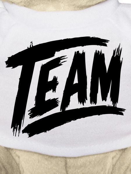 Team Schriftzug