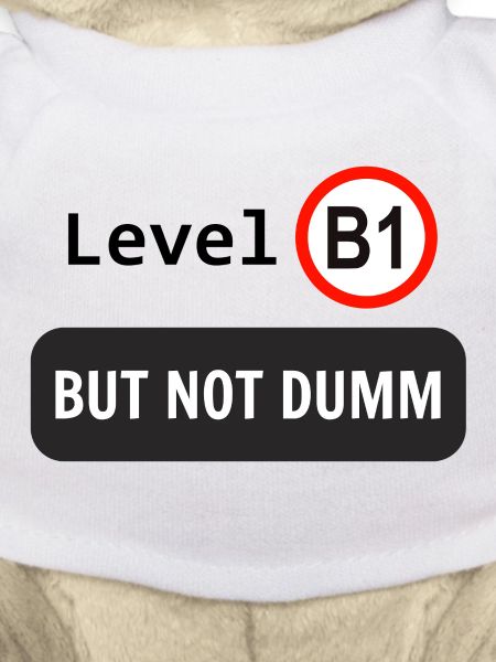 Level B1, but not dumm