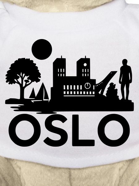 Oslo Silhouette Landmarks