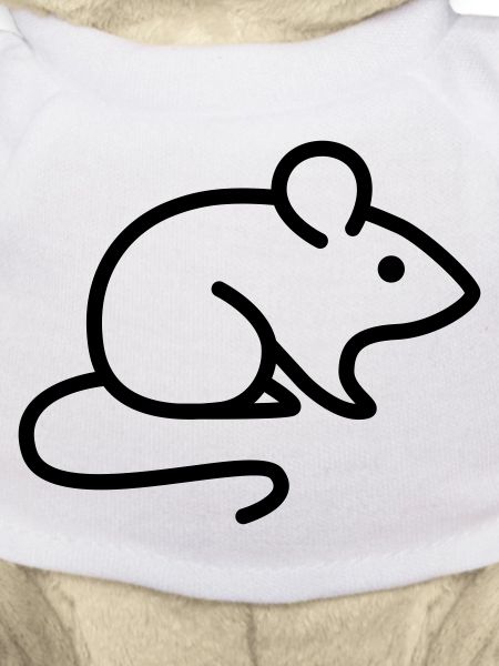 Maus