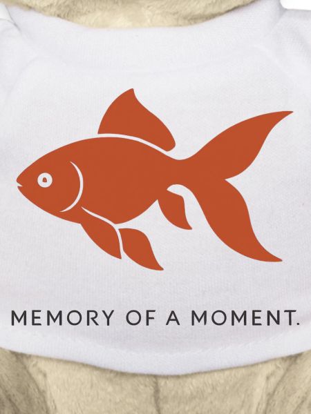 MEMOIRE D'UN INSTANT