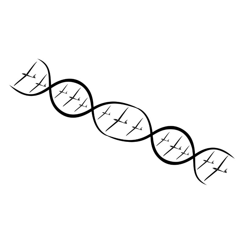 Glider Glider Gliding Glider Pilot DNA
