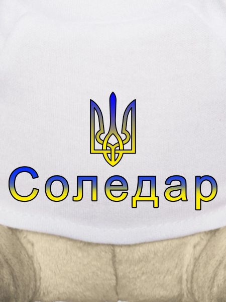 Soledar Ukraine