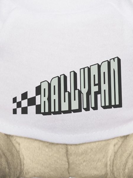 Rallyfan silver black