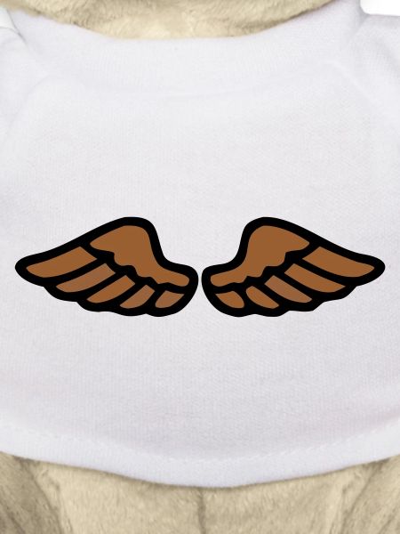 Angel Wings Guardian Angel