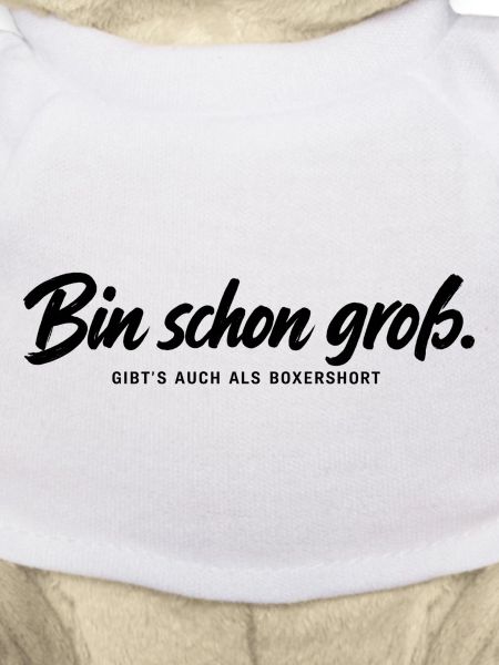 lustiger Spruch