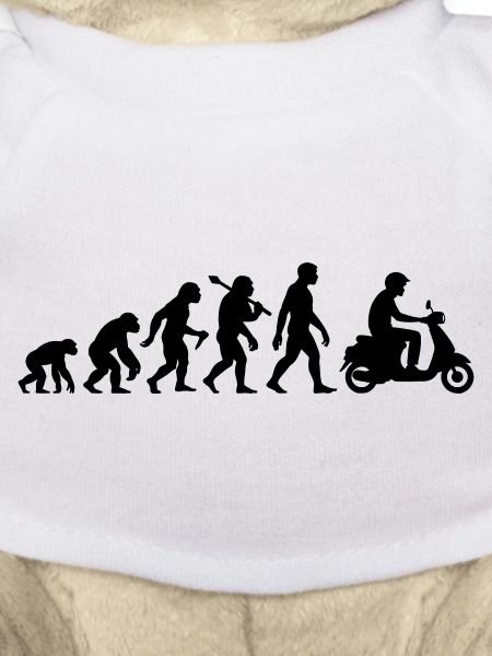 Roller Evolution - Mofa Moped Scooter Fahren
