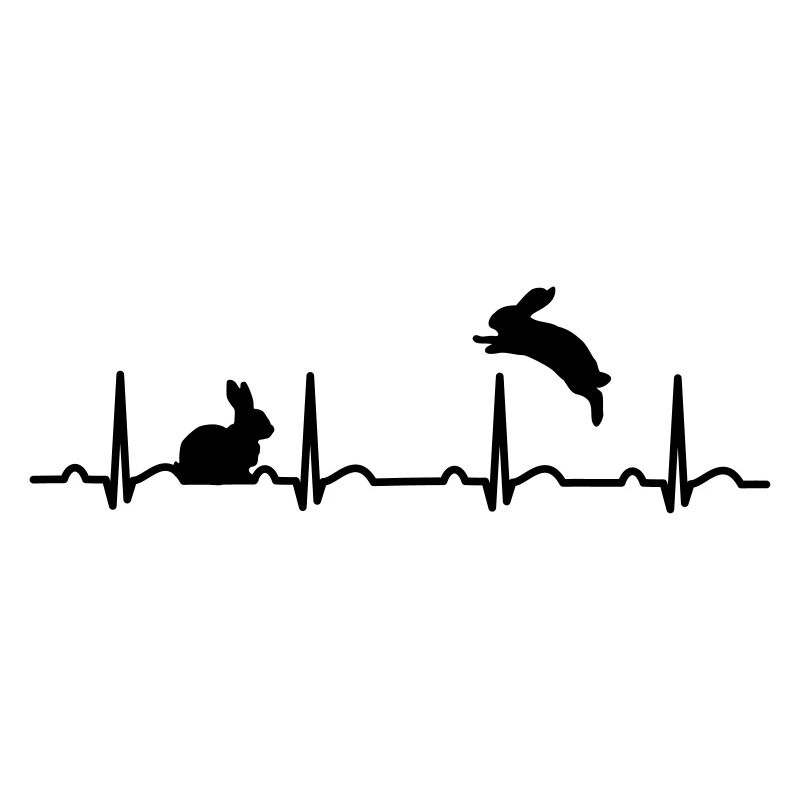 rabbit heartbeat gift