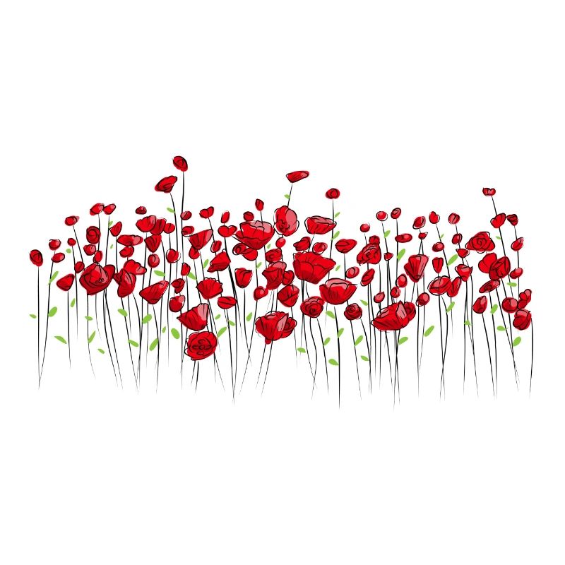 Klatschmohn Mohn Blumen