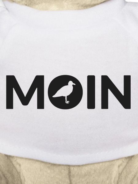 Moin Möwe Seemann