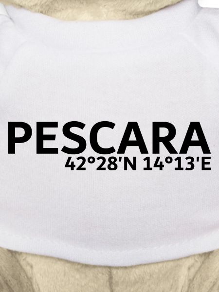 Coordonnées de Pescara