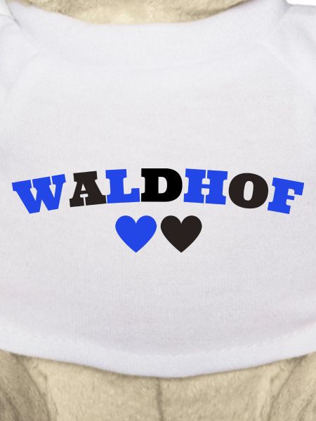Waldhof Mannheim Herz
