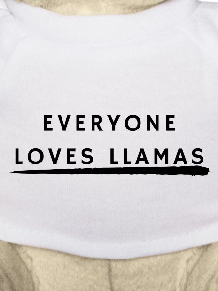 Everyone love llamas