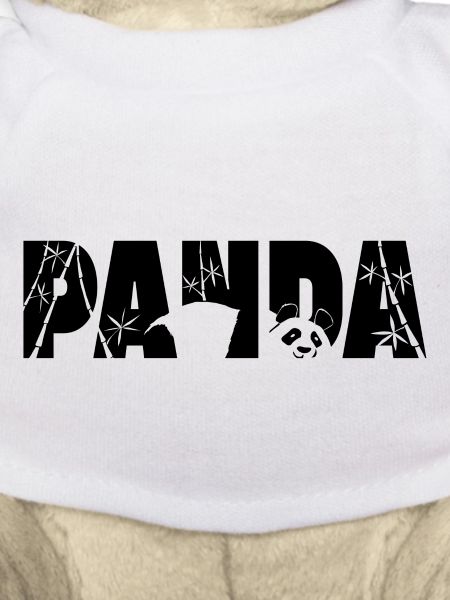 Panda Typo
