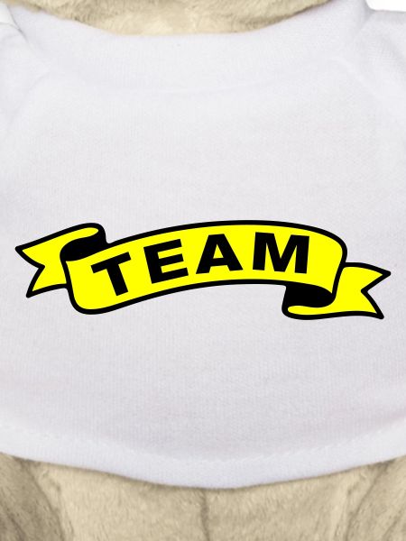 Team Banderole