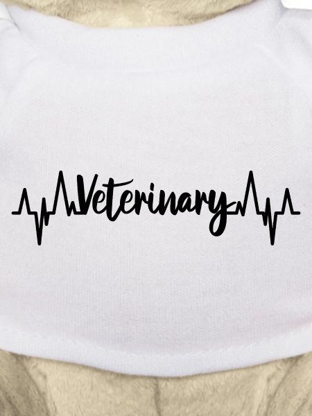 Veterinär Pulsschlag