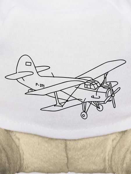 Biplane